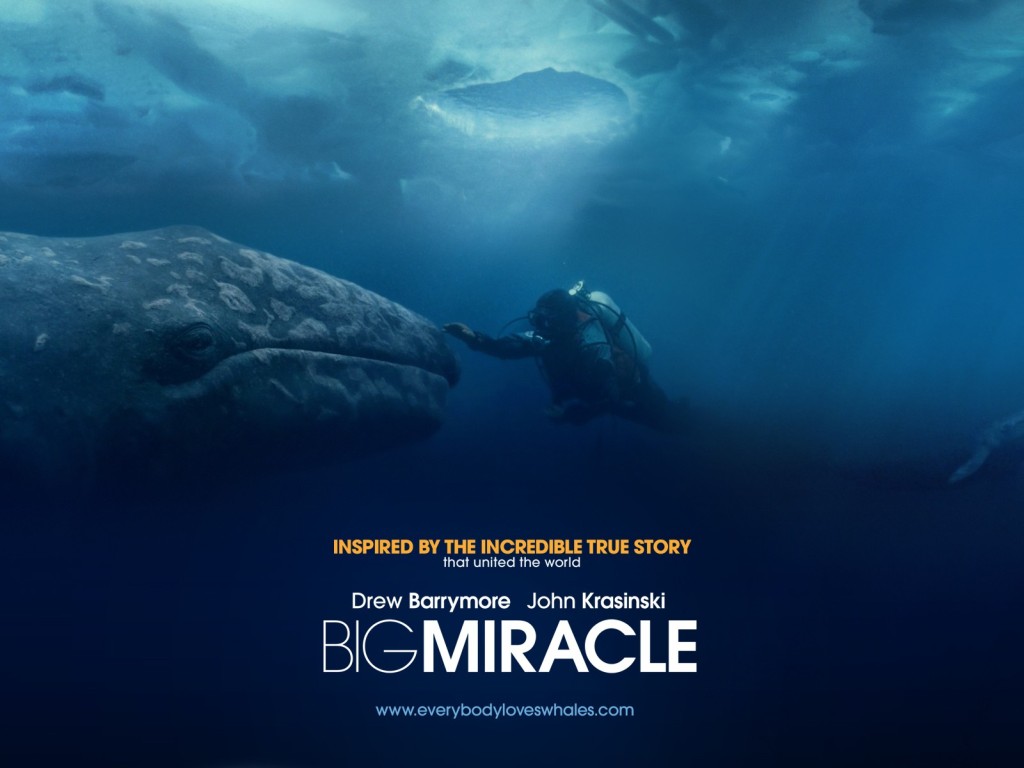 ��� ����� �����