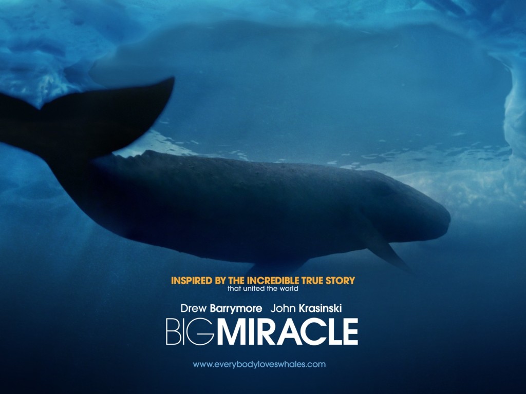 ��� ����� �����