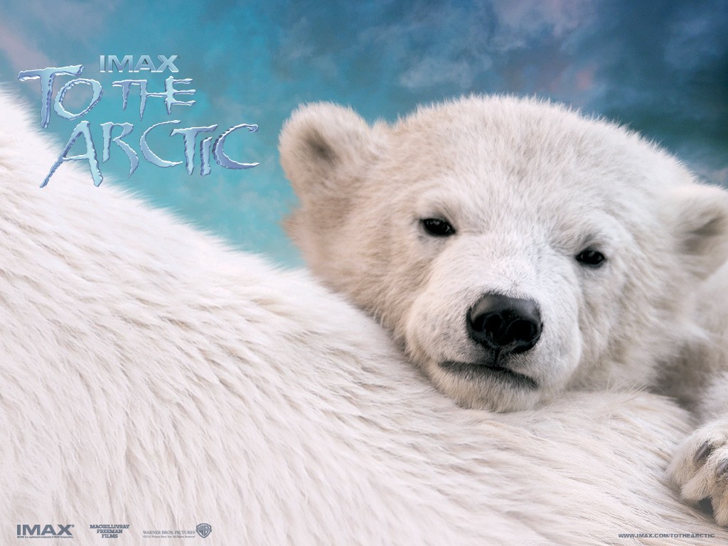 ������� 3D