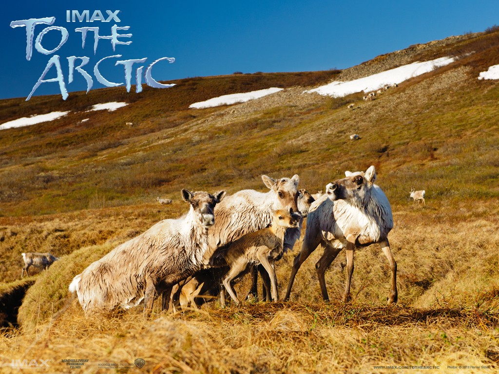 ������� 3D