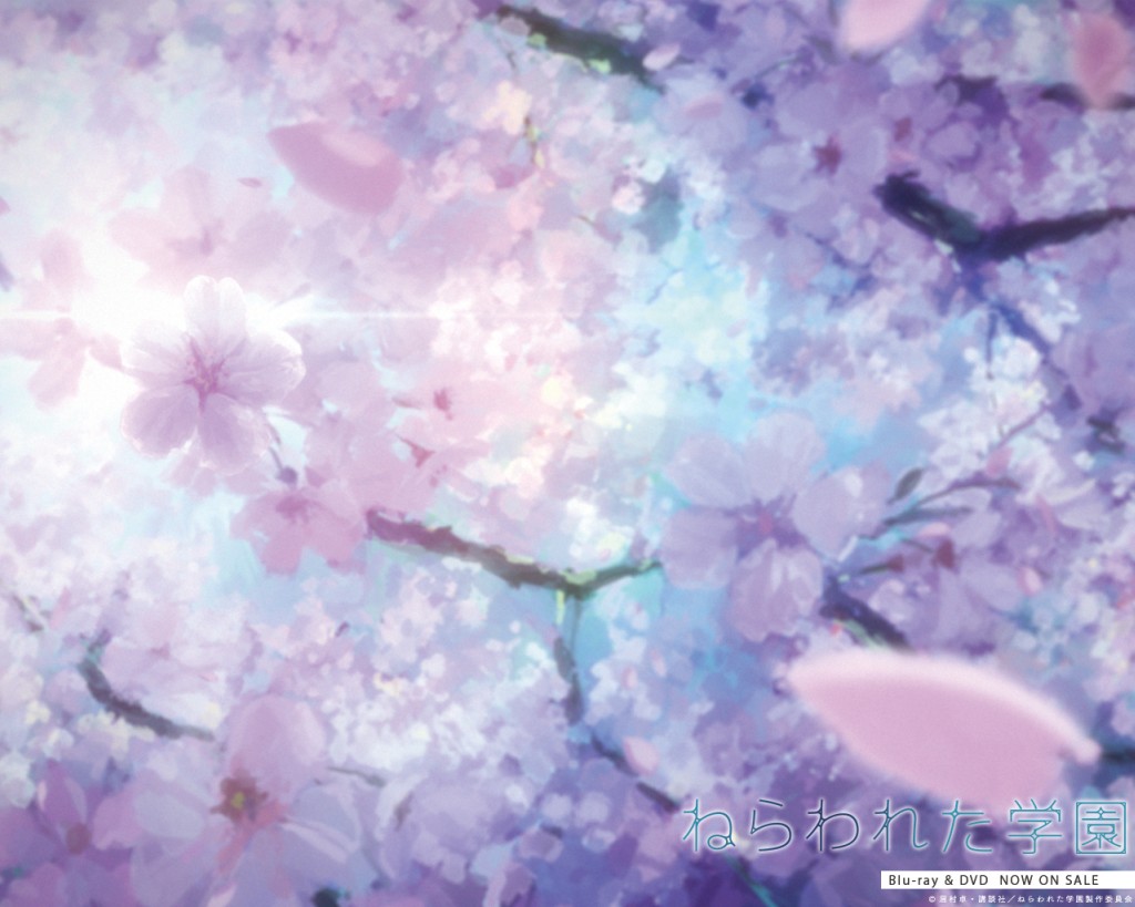 ����� ��� ��������*