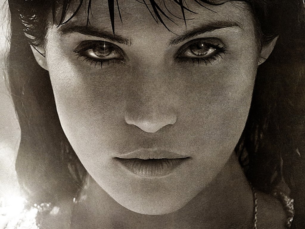 ����� ������: ����� �������