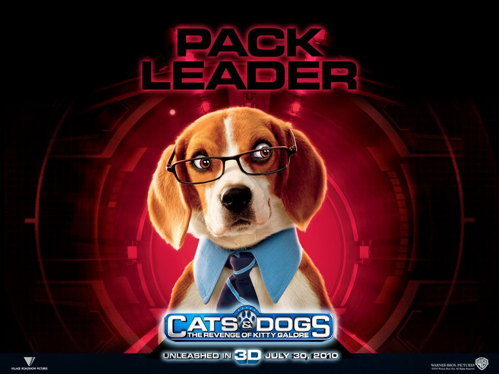 ����� ������ �����: ����� ����� �����