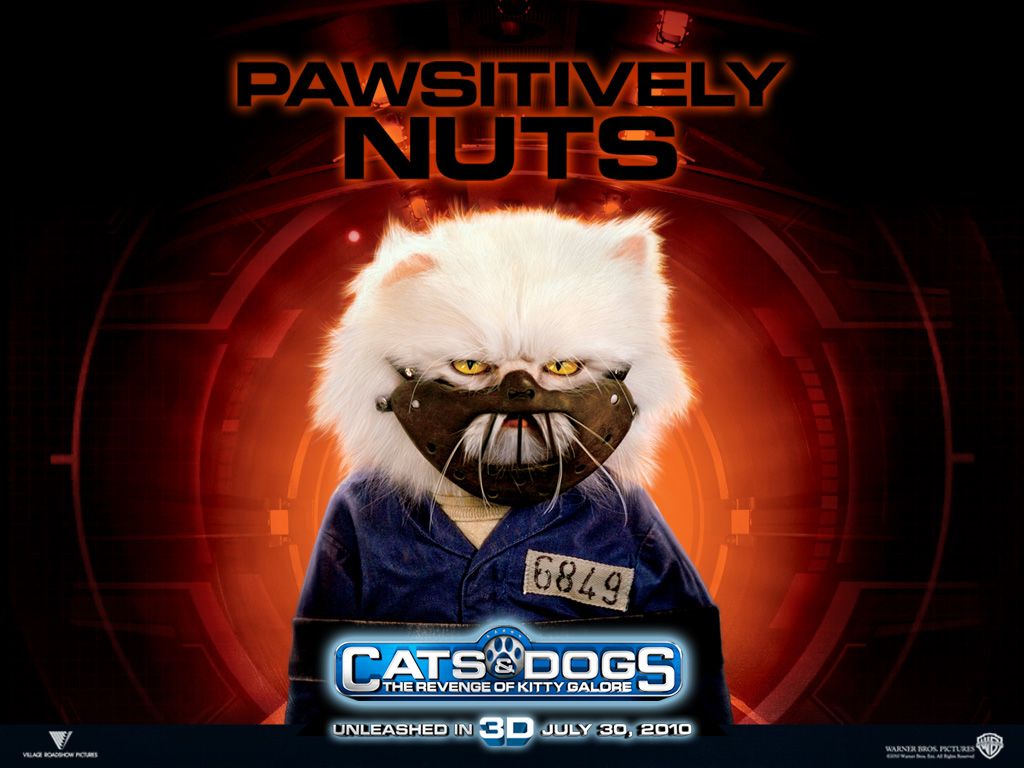 ����� ������ �����: ����� ����� �����