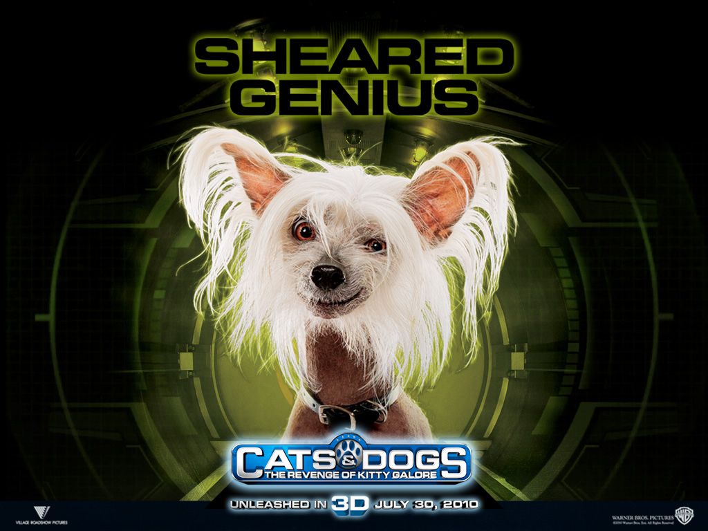 ����� ������ �����: ����� ����� �����