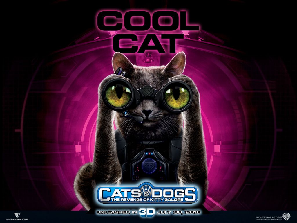 ����� ������ �����: ����� ����� �����