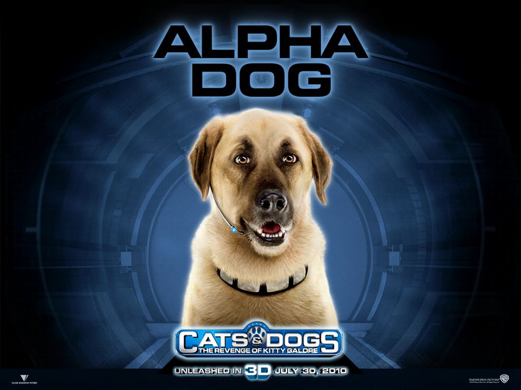 ����� ������ �����: ����� ����� �����