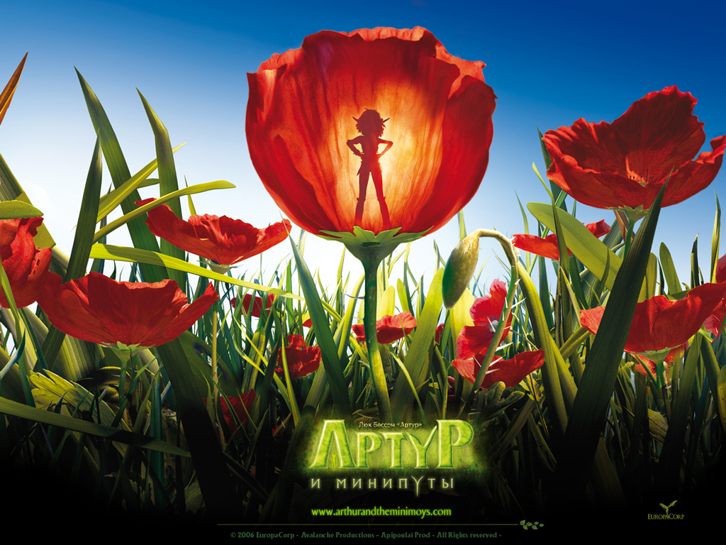 ����� � ��������