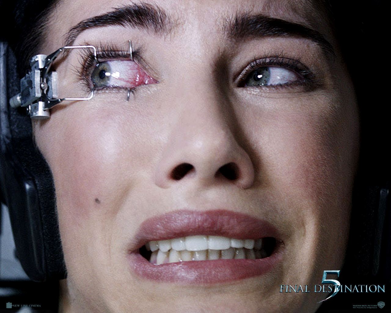 ����� ���������� 5