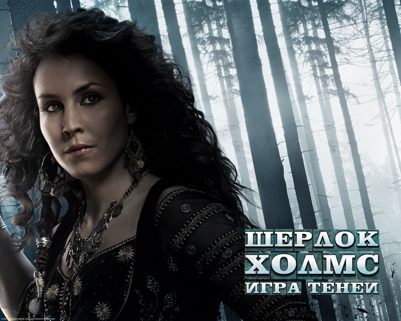 ������ �����: ���� �����