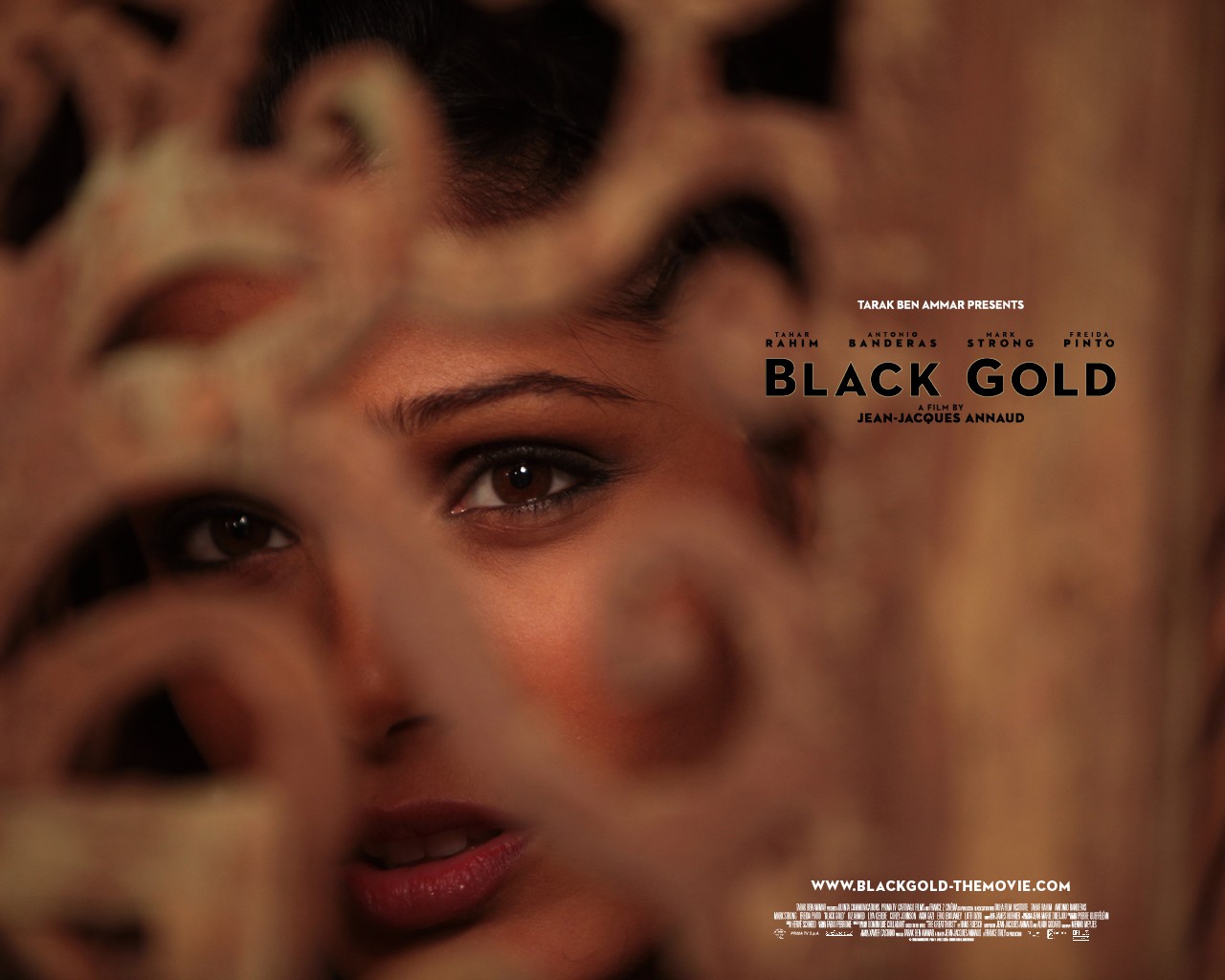 ������ ������