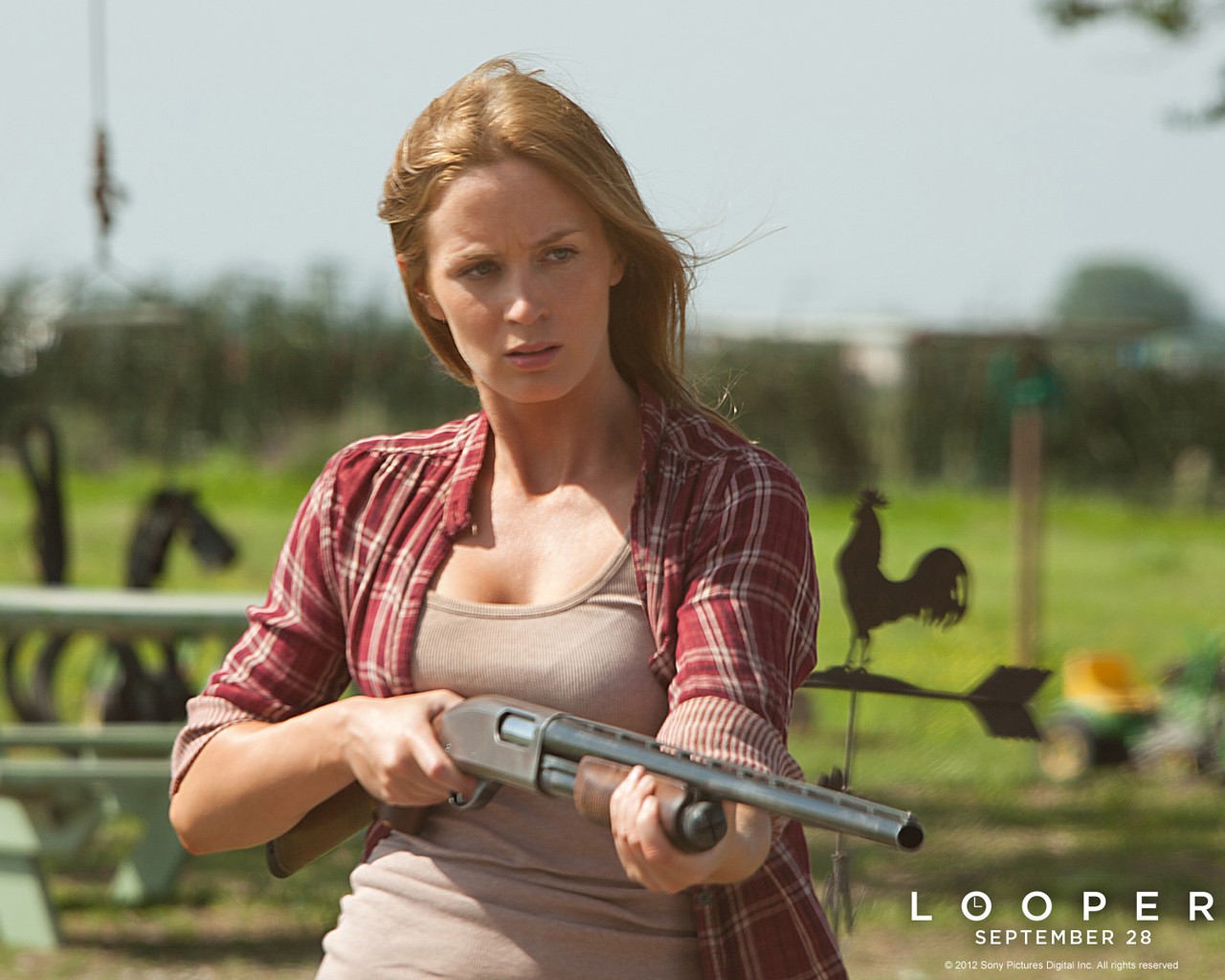 ����� �������