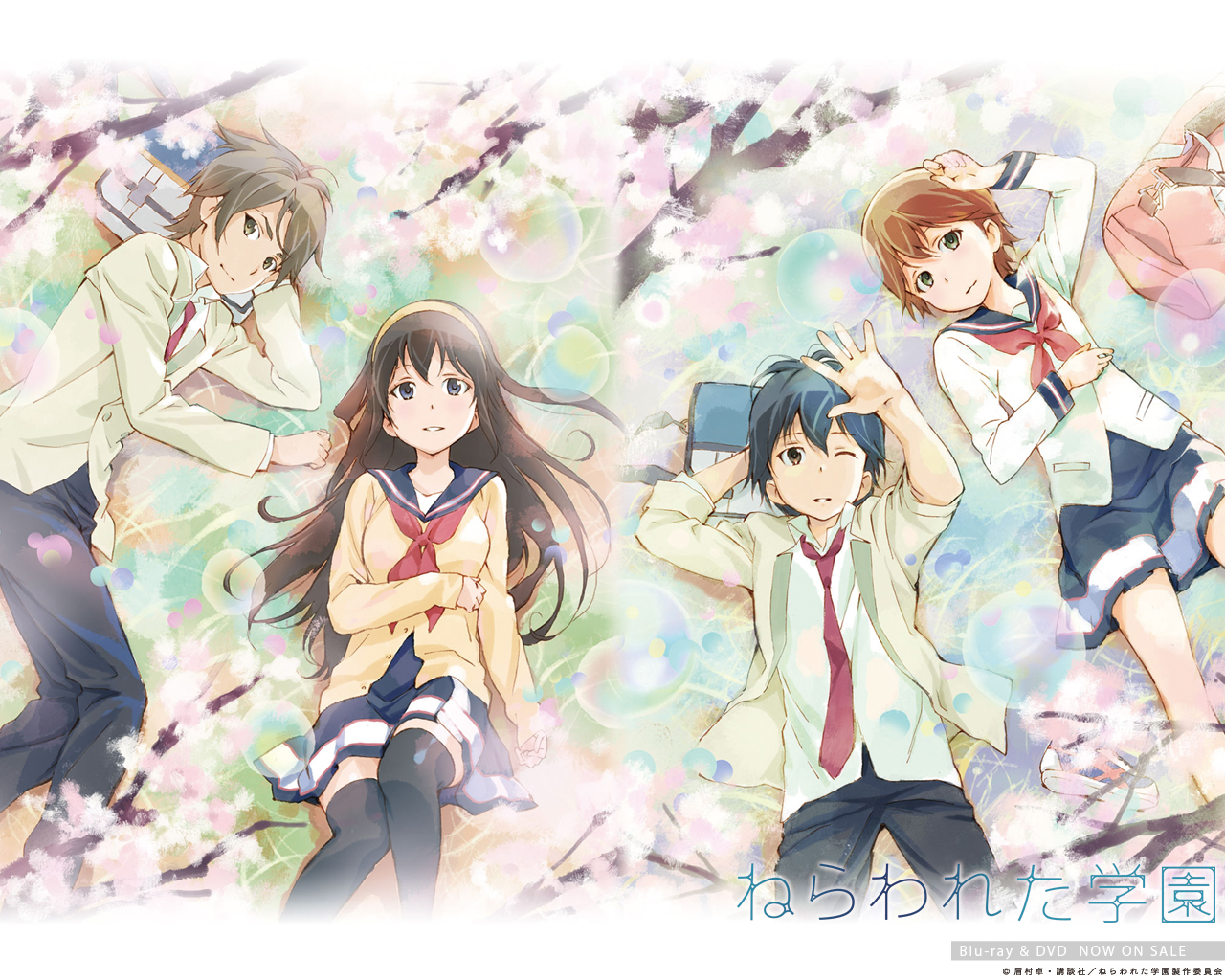 ����� ��� ��������*