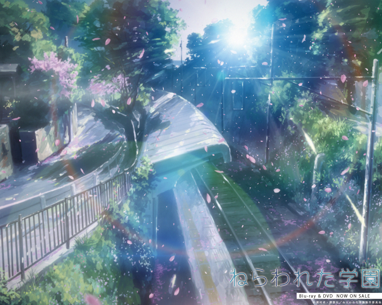 ����� ��� ��������*