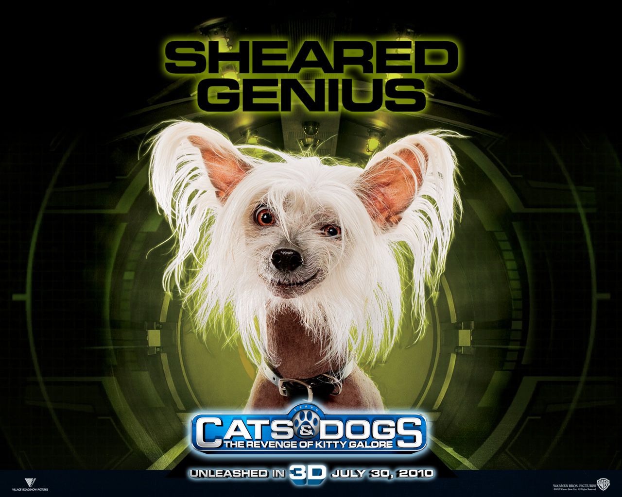 ����� ������ �����: ����� ����� �����