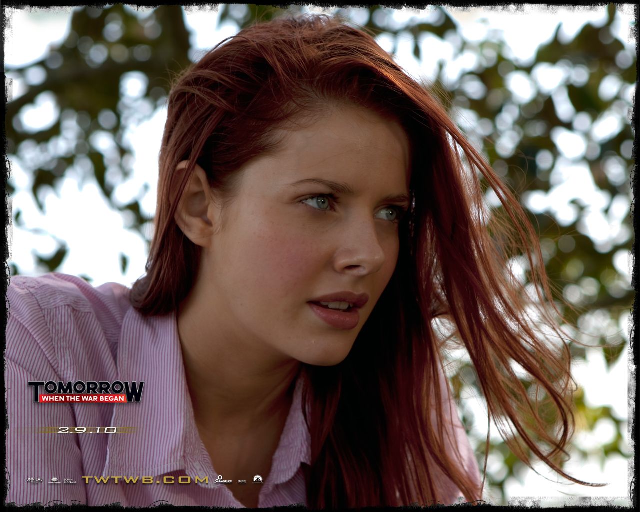 ���������: ����� �� ���