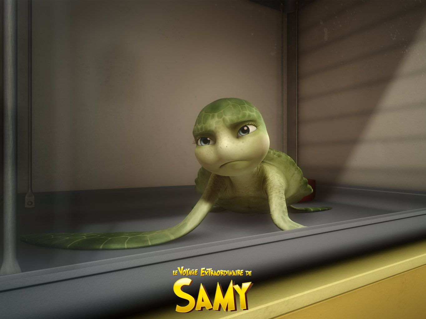 ������ ������� 3D