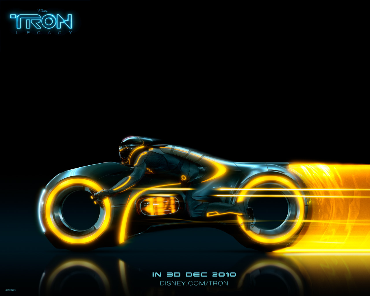 ����: ��������