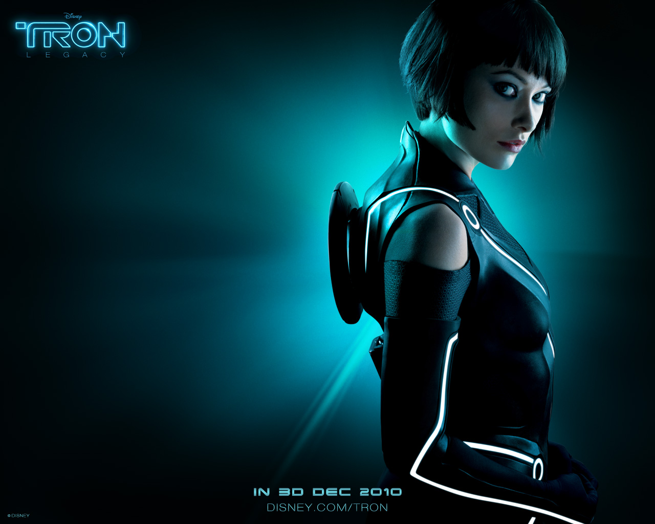 ����: ��������