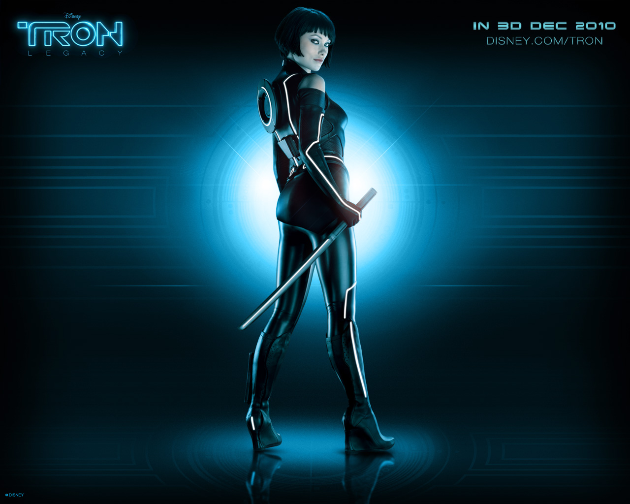 ����: ��������