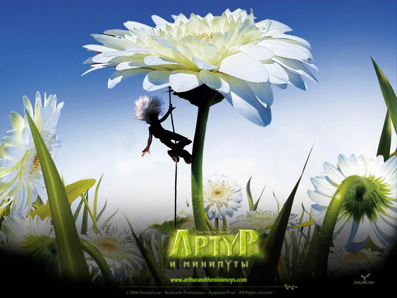 ����� � ��������