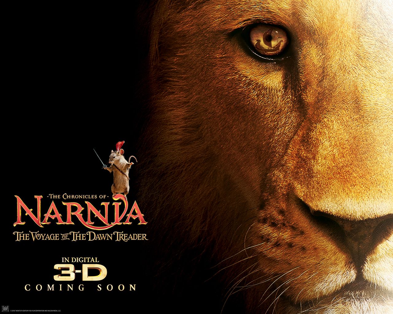 ������� ������: ���������� ����