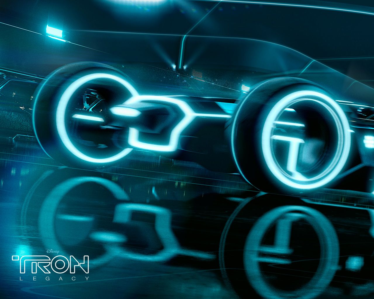 ����: ��������