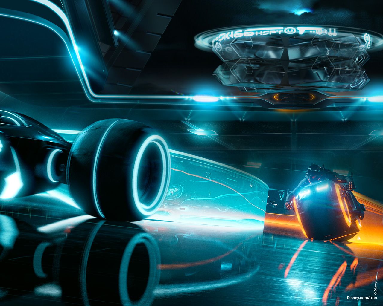 ����: ��������