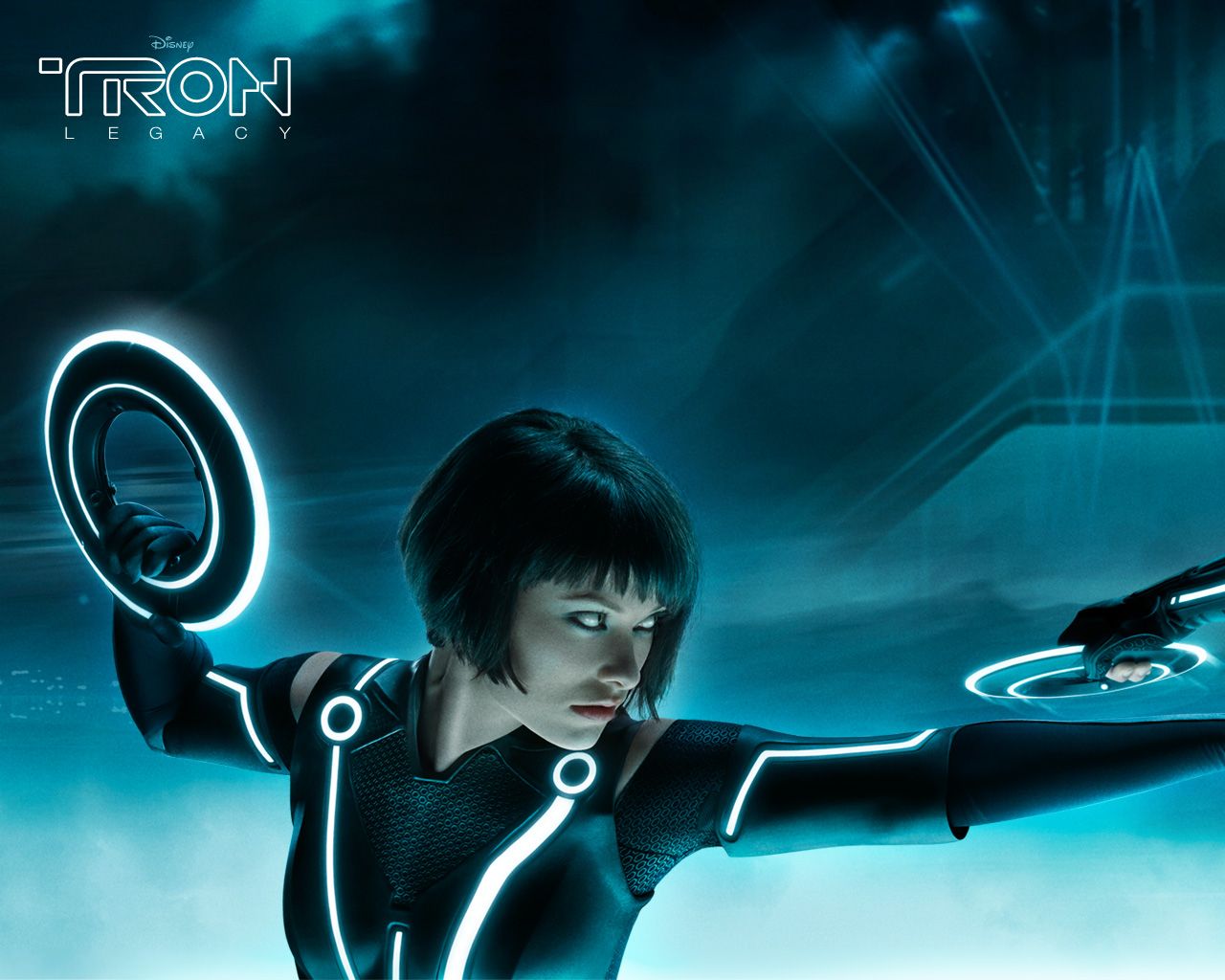 ����: ��������