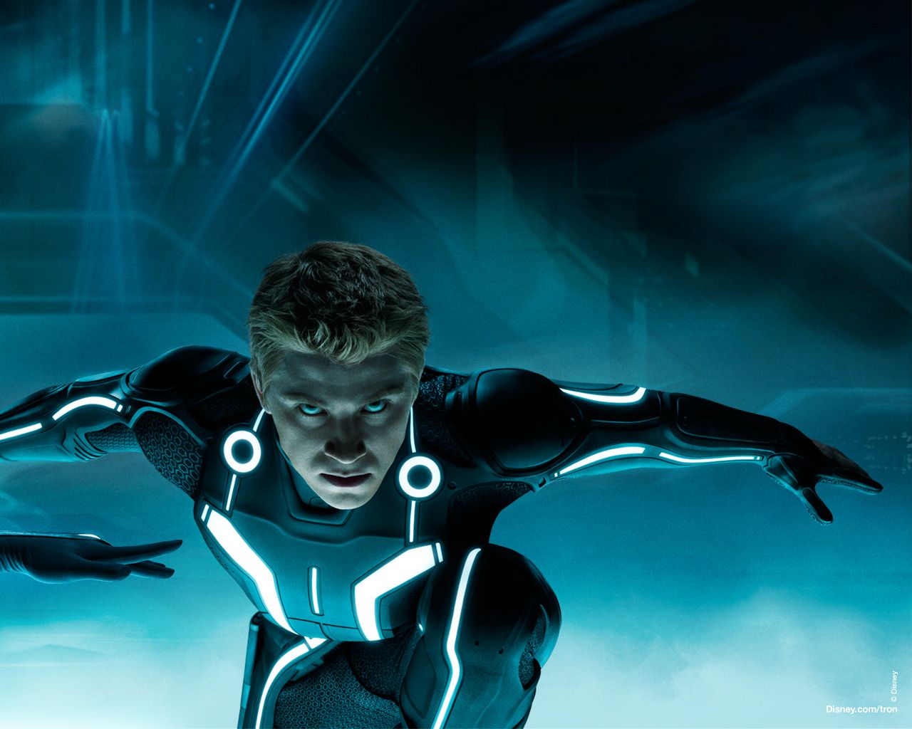 ����: ��������