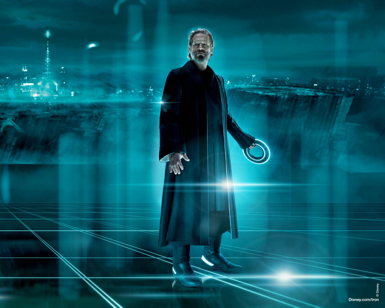 ����: ��������