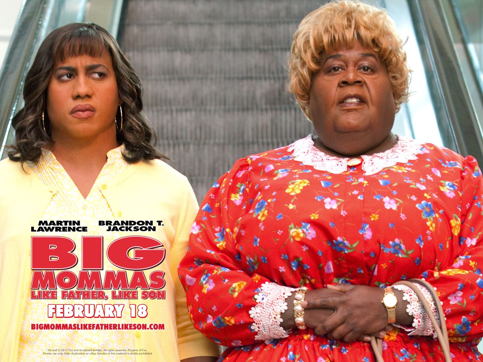 ������� ��������: ��� ��� ����