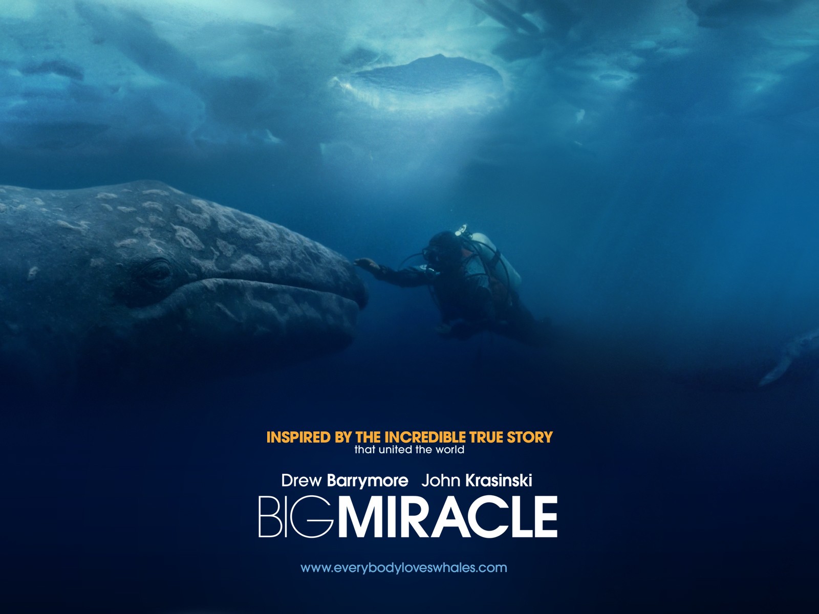 ��� ����� �����