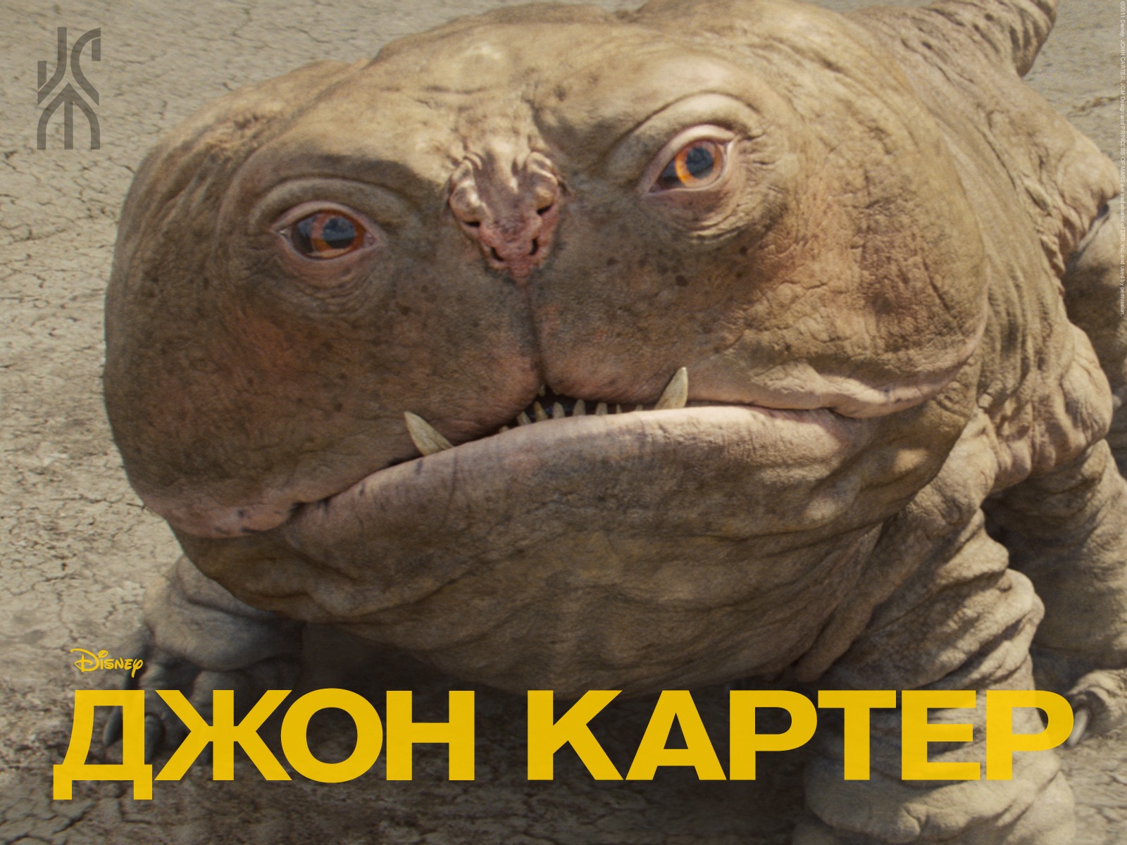 ���� ������