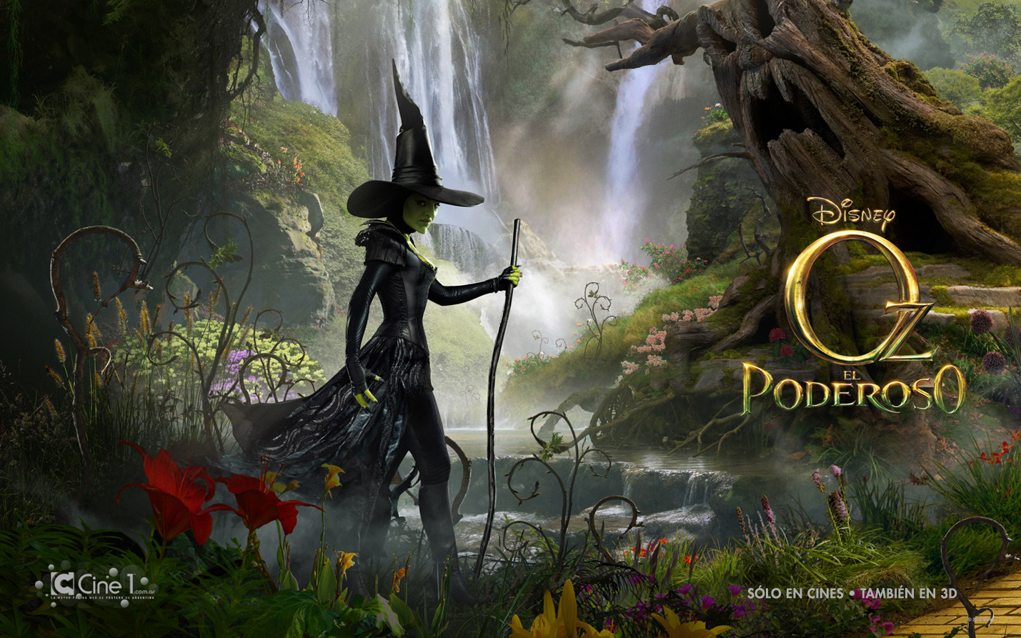 ��: ������� � �������