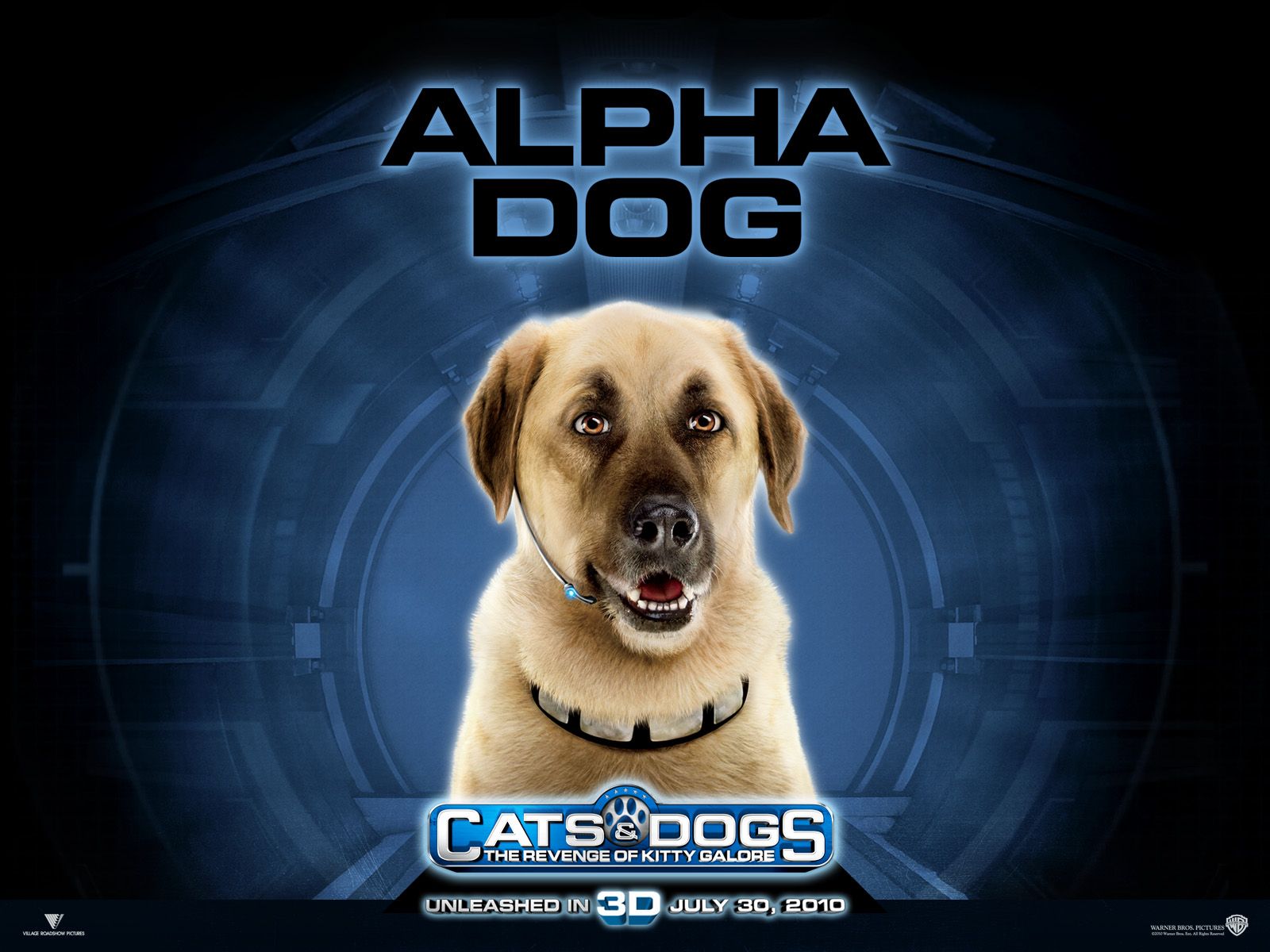 ����� ������ �����: ����� ����� �����