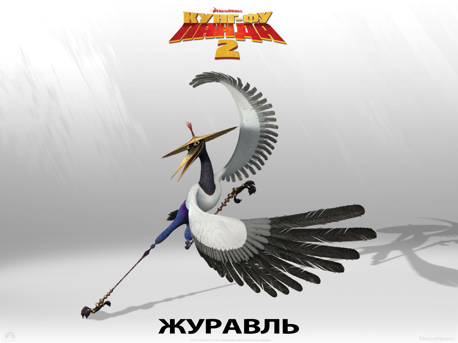 ����-�� ����� 2