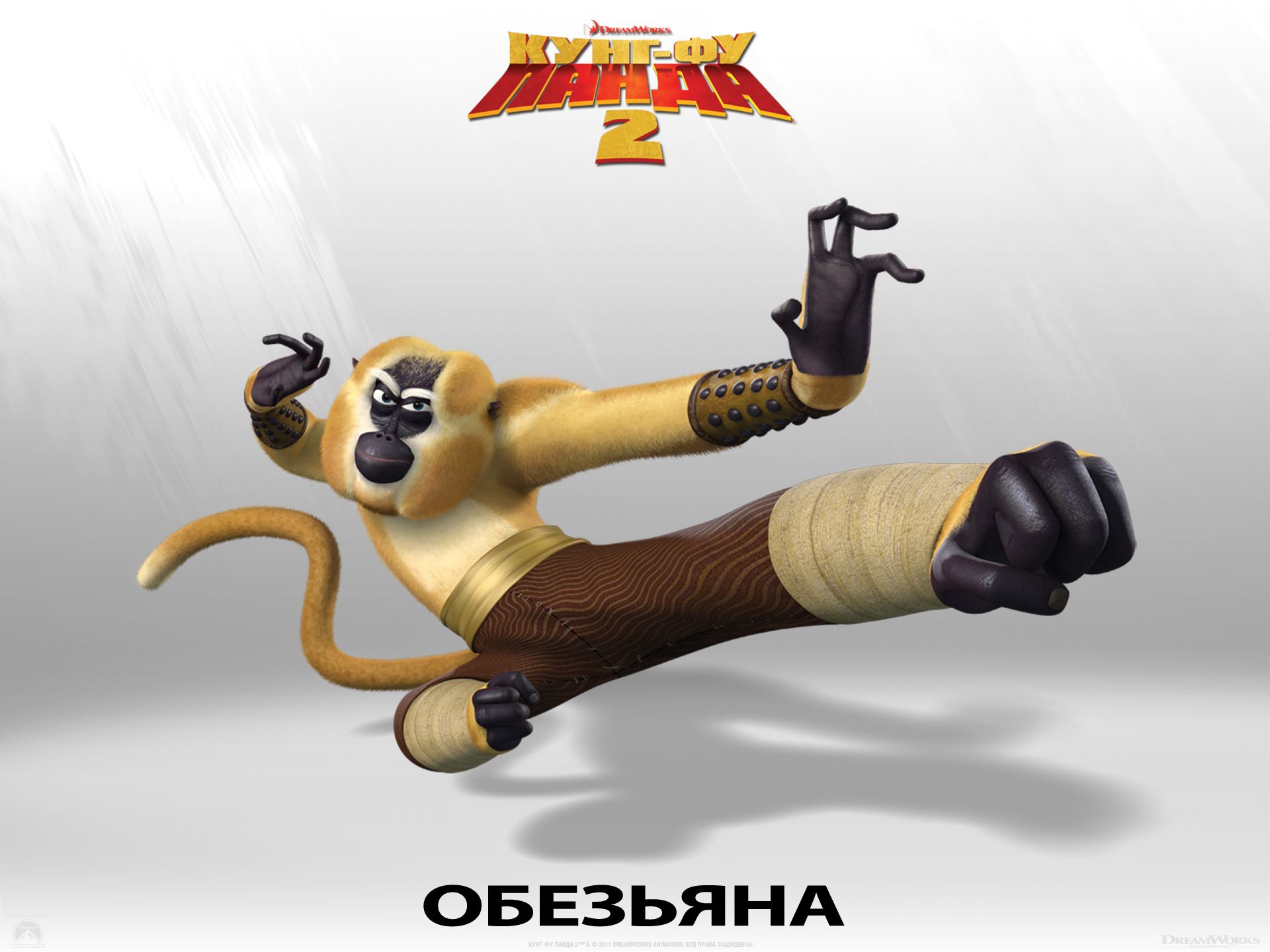 ����-�� ����� 2