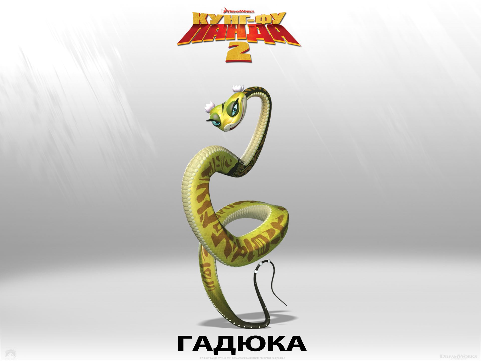 ����-�� ����� 2