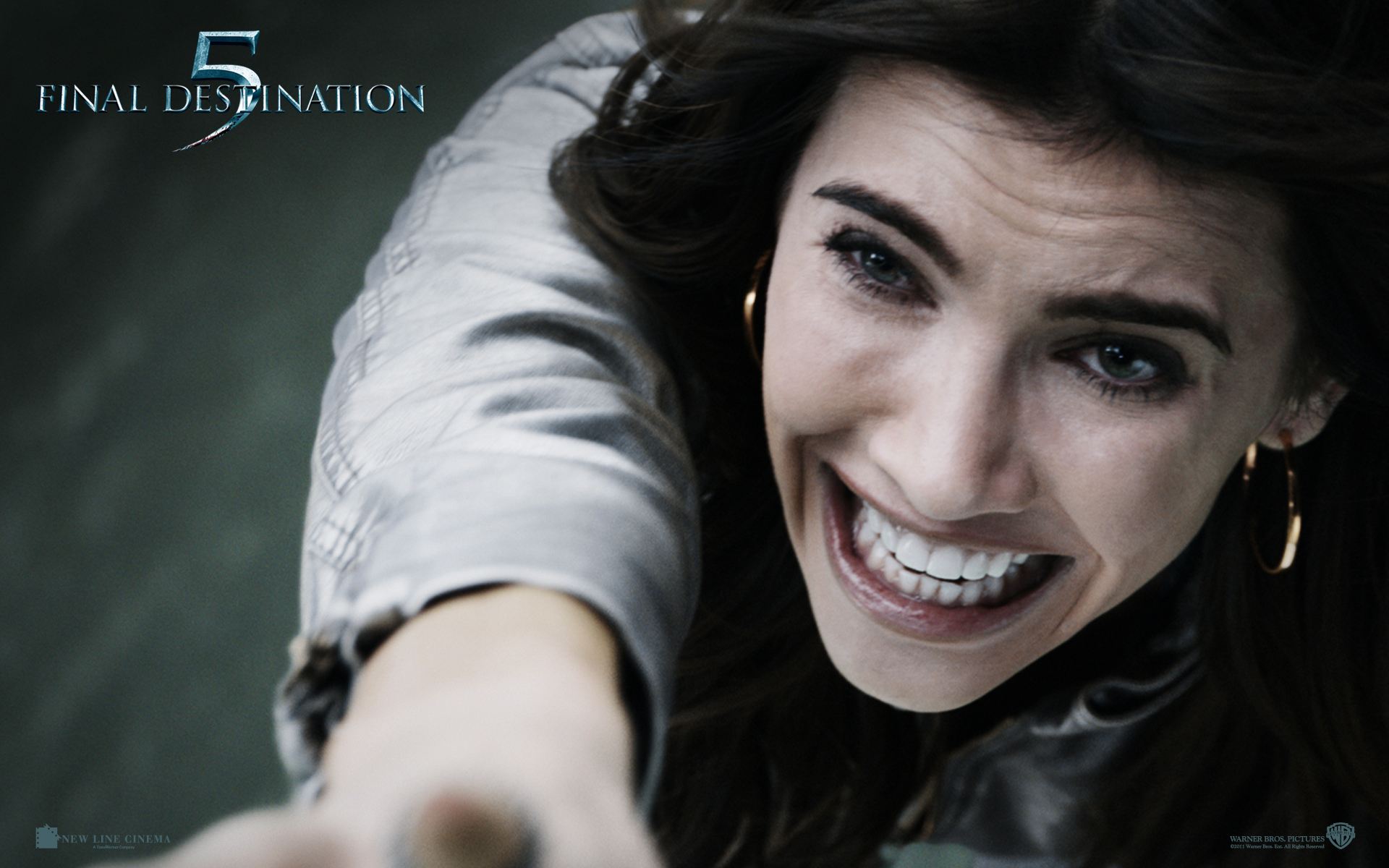 ����� ���������� 5