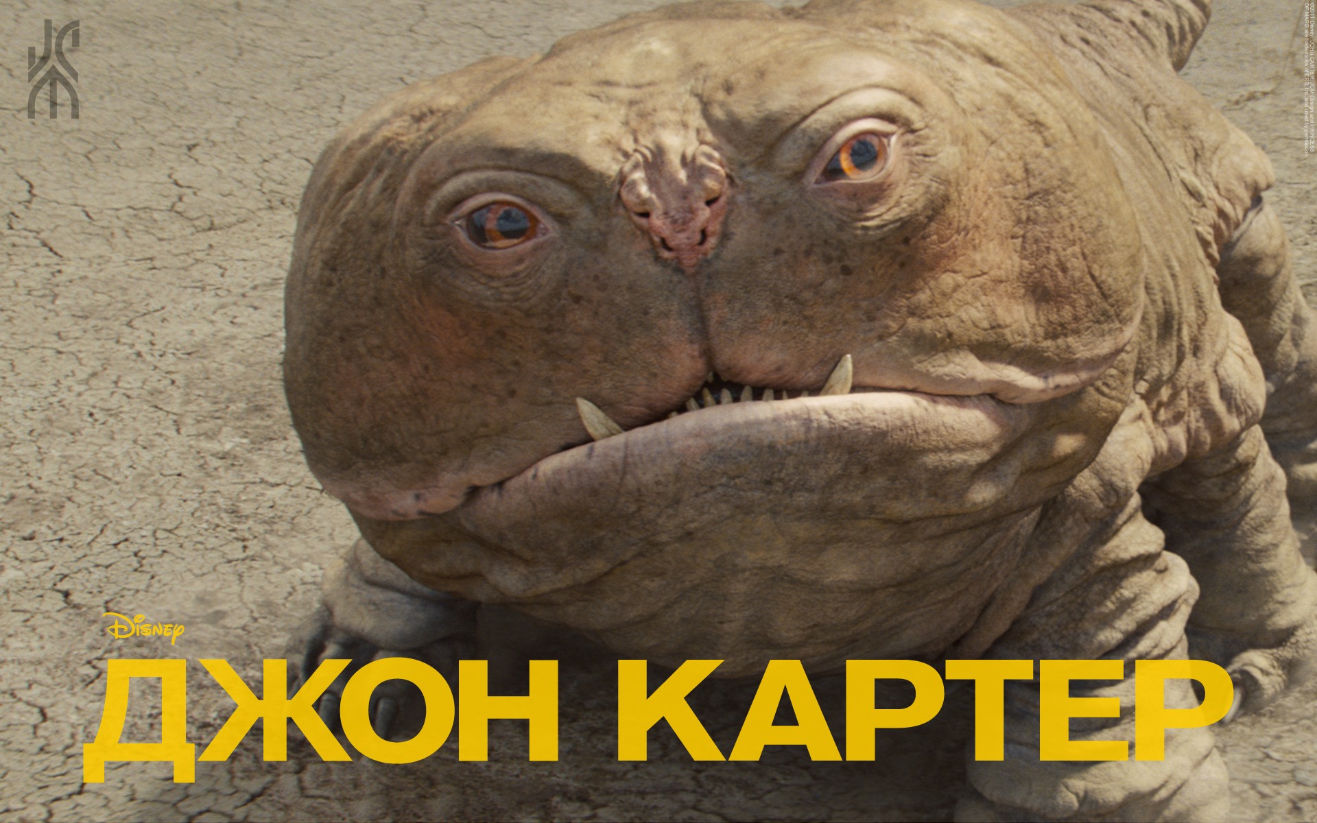 ���� ������