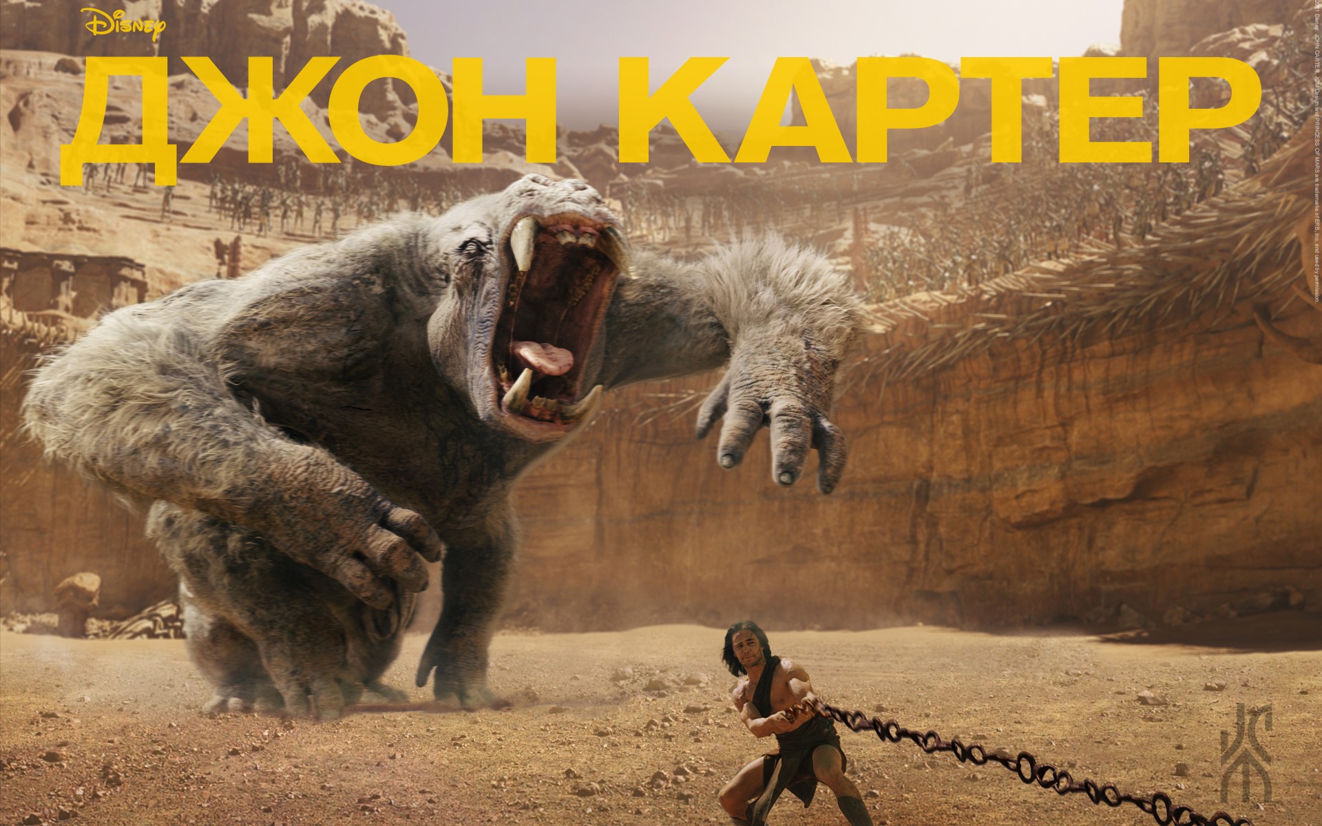 ���� ������