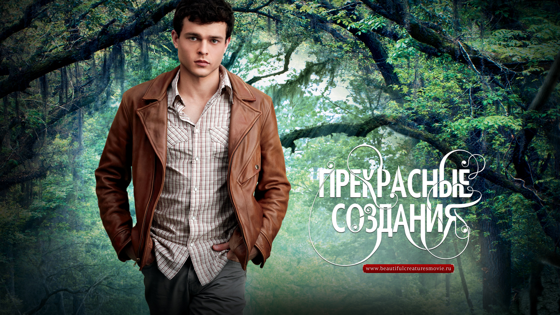 ���������� ��������