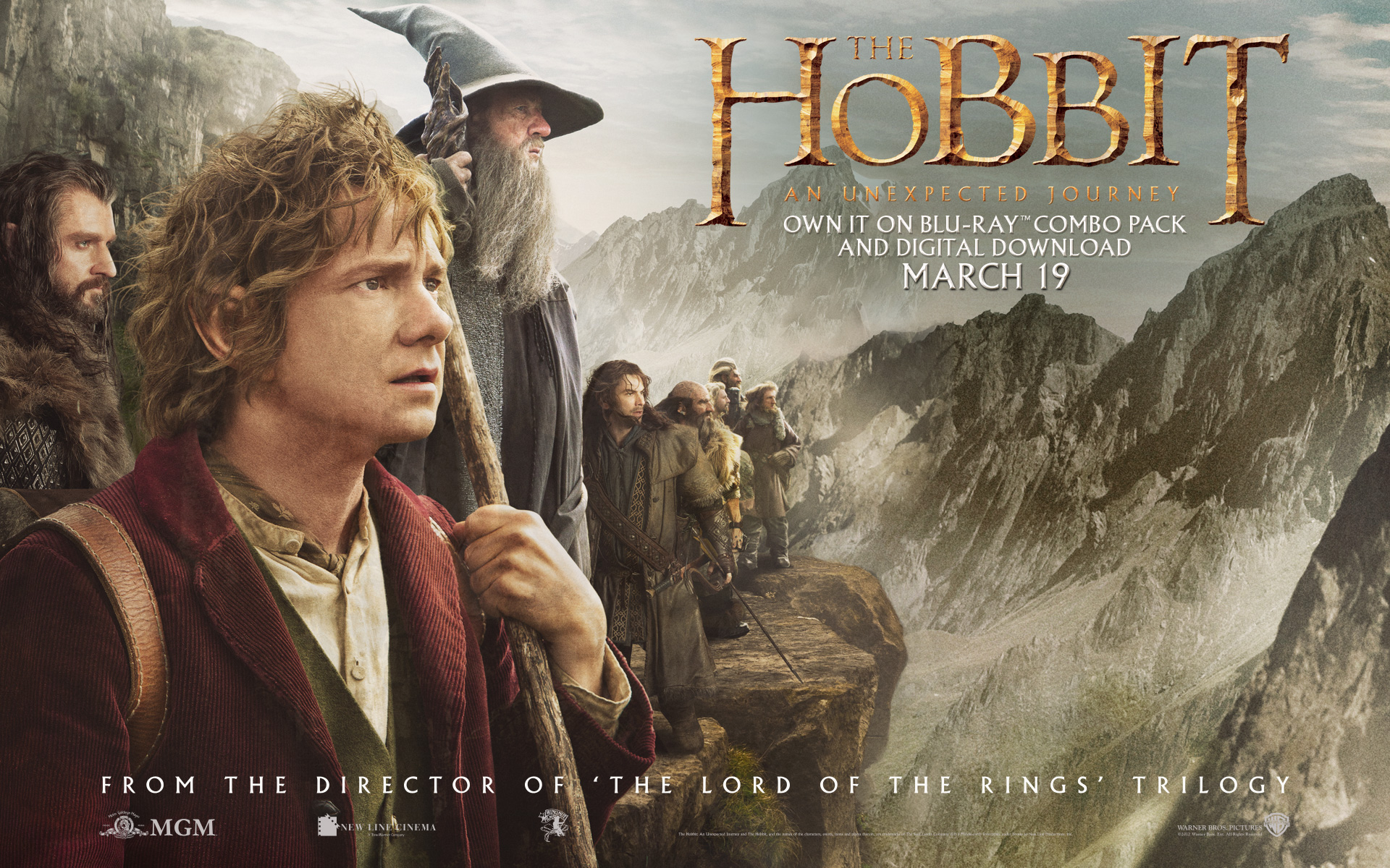 ������: ��������� �����������