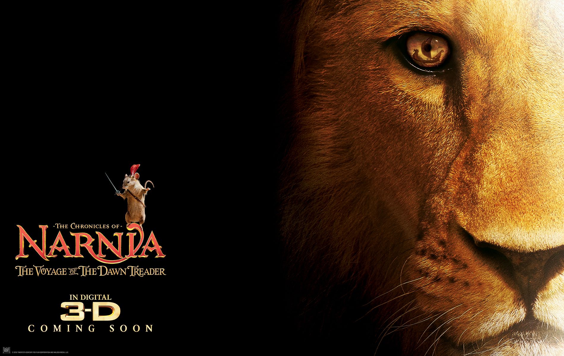 ������� ������: ���������� ����